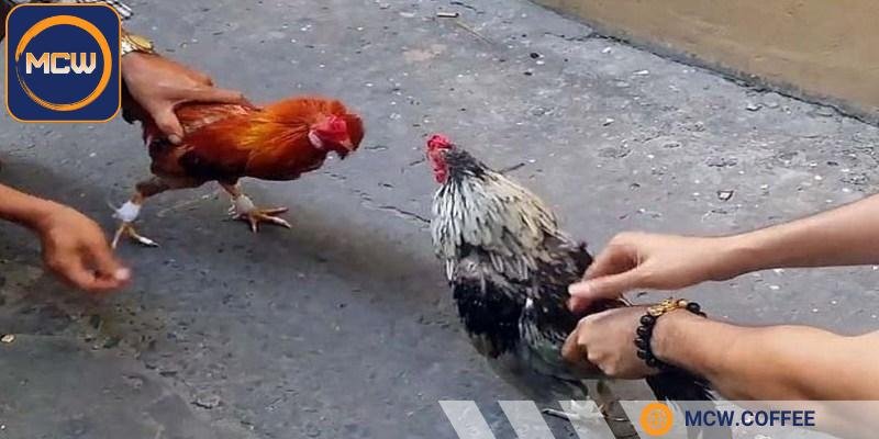 Nắm được những chiêu trò gian lận để tránh