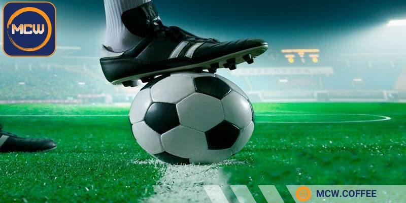 Không chơi theo cảm tính, có thể dẫn đến mất trắng